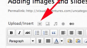 screenshot of wordpress add image button