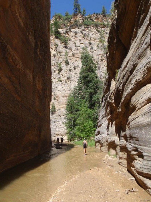 scenery from the narrows in zion