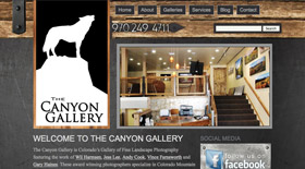the canyon gallery website preview