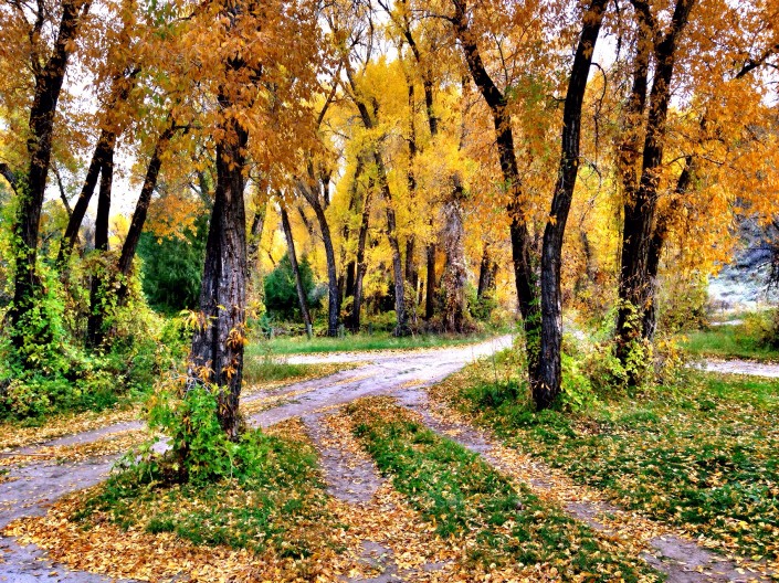 Fall crossroads in Idaho