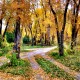 Fall crossroads in Idaho