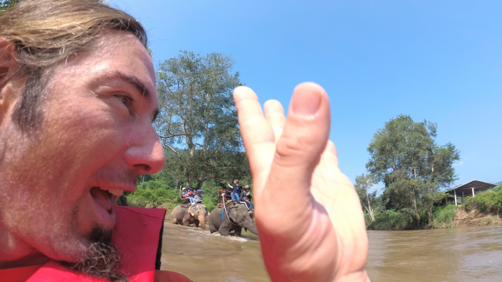 elephants in the mae taeng river