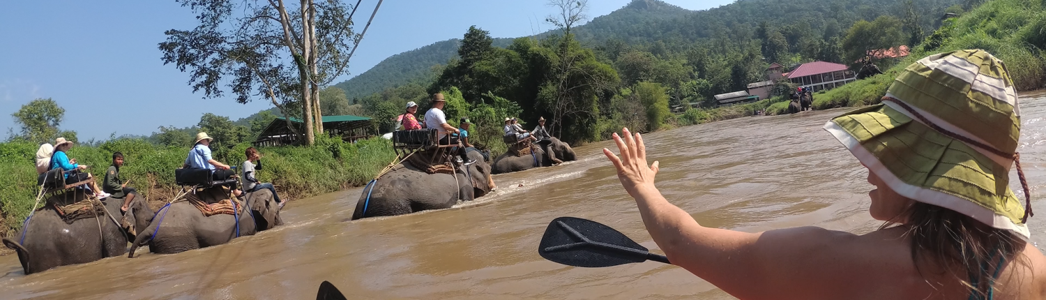 Packrafting with elephants on the Mae Taeng River
