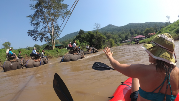 Packrafting with elephants on the Mae Taeng River